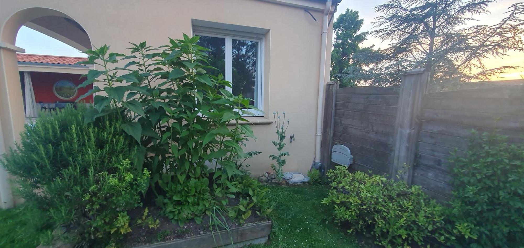 Gite Calme #2 Ou 3 Pers #Piscine #Cholet #Wifi Haut Debit #Travailleurs Thales Lacroix Et Autres Entreprises #Petits Dejeuners Et Repas Possibles Sur Demande Le May-sur-Evre Екстериор снимка